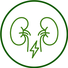 acute kidney